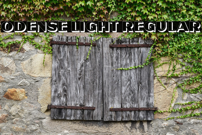 Odense Light Regular Example 3