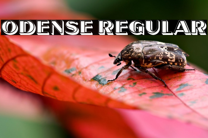 Odense Regular Example 2