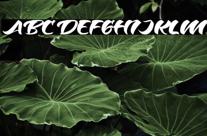 Odenson Regular Example 1