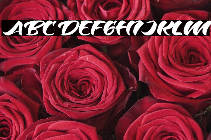 Odenson Regular Example 3