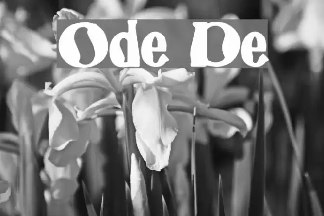 Odeon Demo Font examples