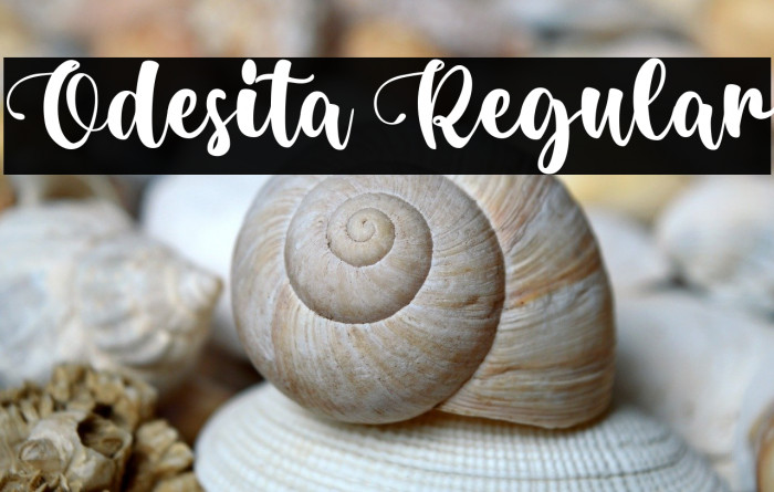 Odesita Regular Example 2