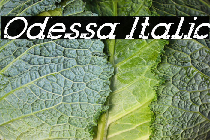 Odessa Italic Example 1