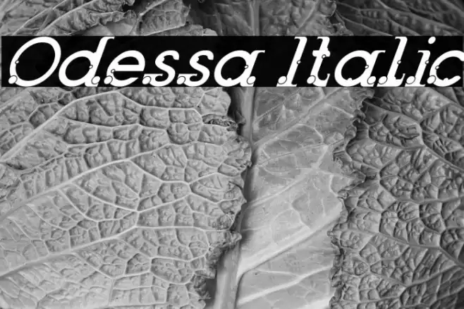 Odessa Italic Font examples