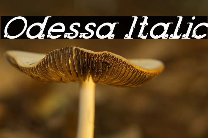 Odessa Italic Example 3