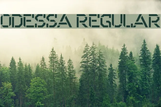 Odessa Regular Example 2