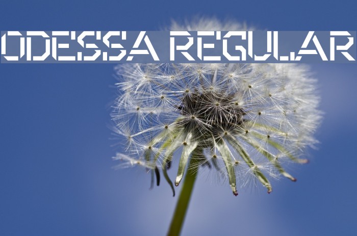 Odessa Regular Font examples