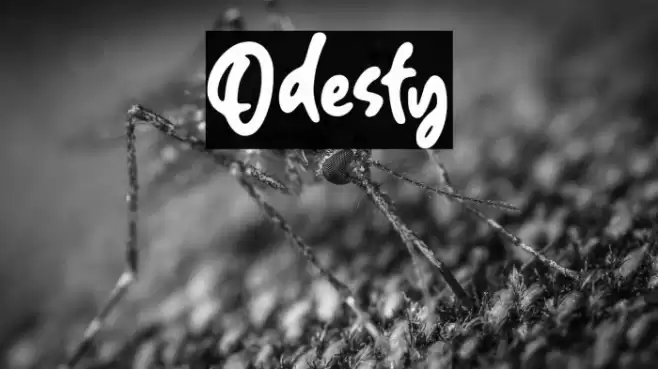 Odesty Font examples