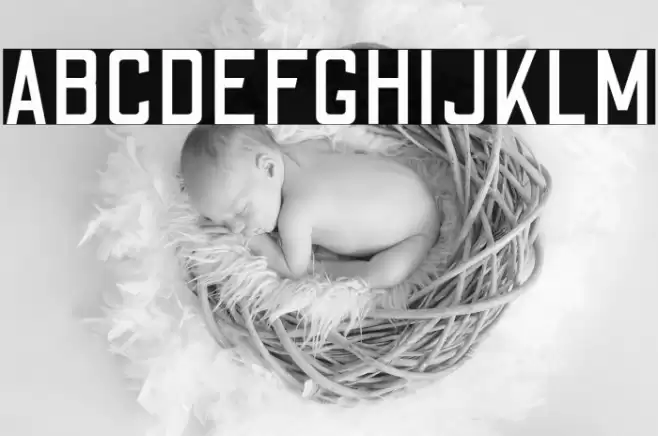 Odibee Sans Regular Font examples