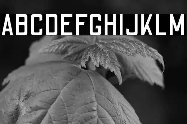 Odibee Sans Regular Font examples