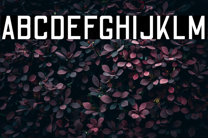 Odibee Sans Regular Example 3