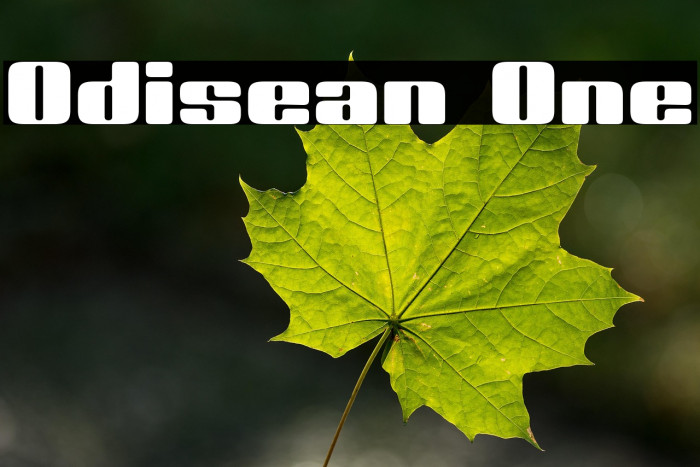 Odisean One Example 3