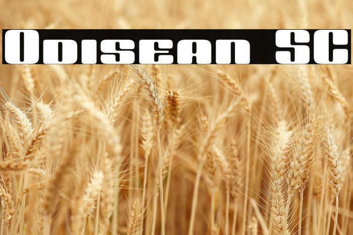 Odisean SC Example 2