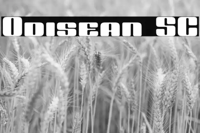 Odisean SC Шрифта examples