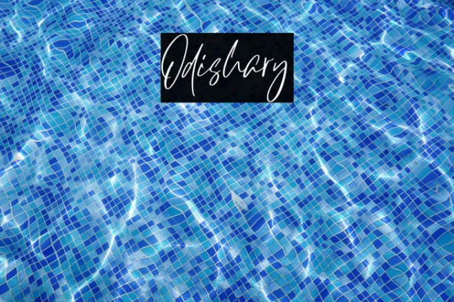 Odishary Example 2