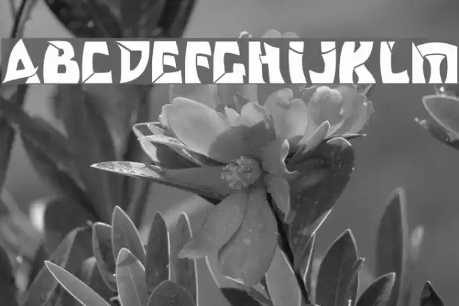 Odishi Font examples