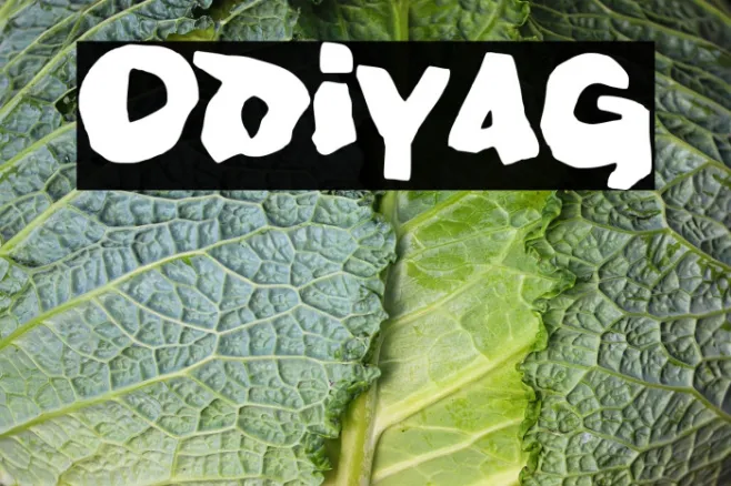 Odiyag Example 3