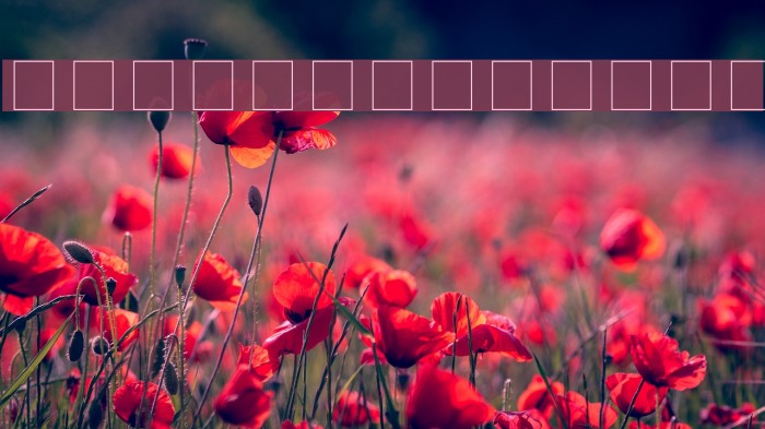 OdorMeanChey Example 1