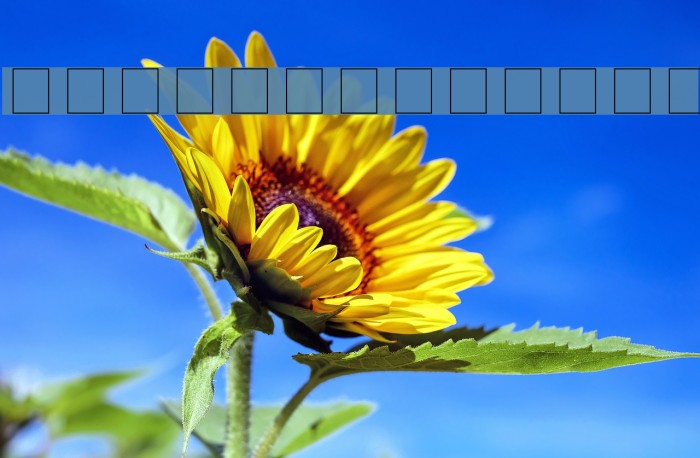 OdorMeanChey Example 2