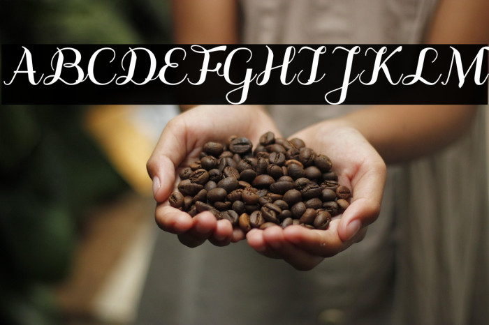 odstemplik Bold Example 1