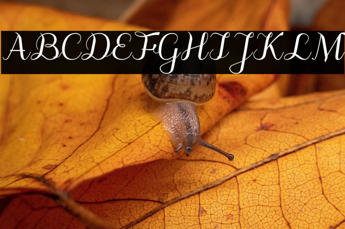 odstemplik Example 3