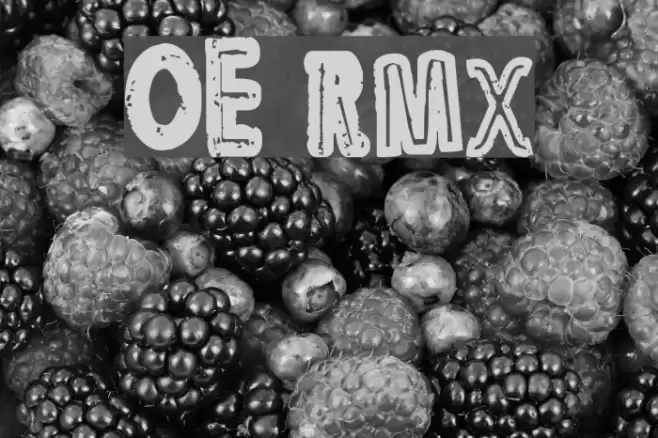OE rmx Font examples