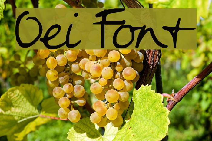 Oei Font examples