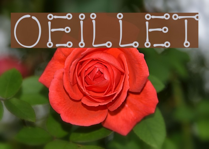 Oeillet Font examples