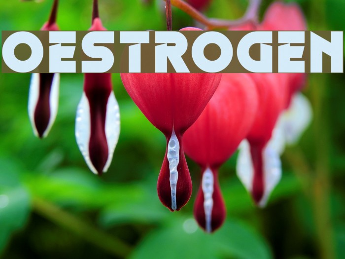 Oestrogen Font examples