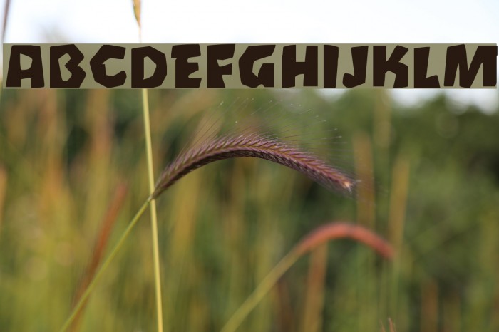 Oetztype Font examples