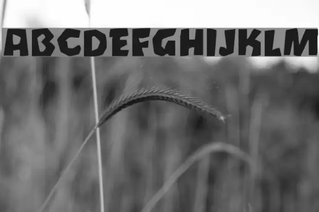 Oetztype Font examples
