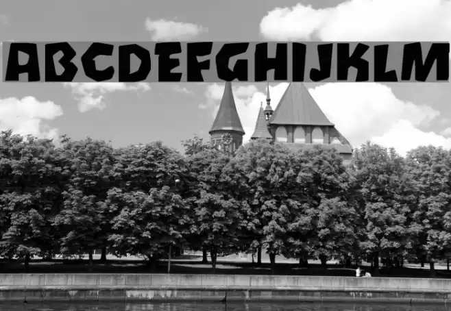 Oetztype Font examples
