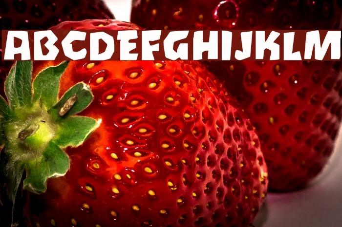 Oetztype Font examples