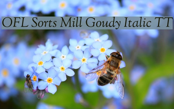 OFL Sorts Mill Goudy Italic TT Font examples