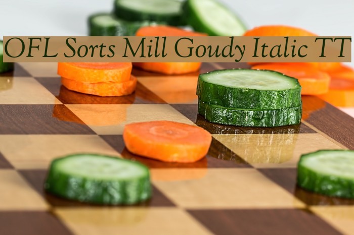 OFL Sorts Mill Goudy Italic TT Font examples