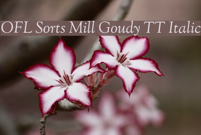OFL Sorts Mill Goudy TT Italic Font examples