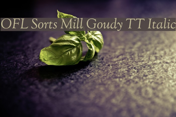 OFL Sorts Mill Goudy TT Italic Font examples