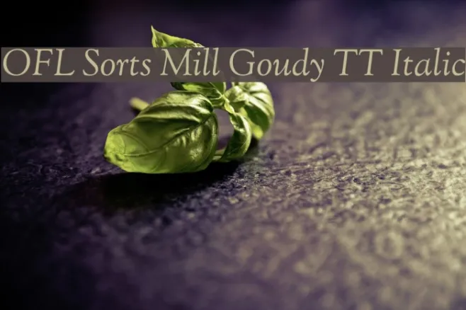 OFL Sorts Mill Goudy TT Italic Example 2