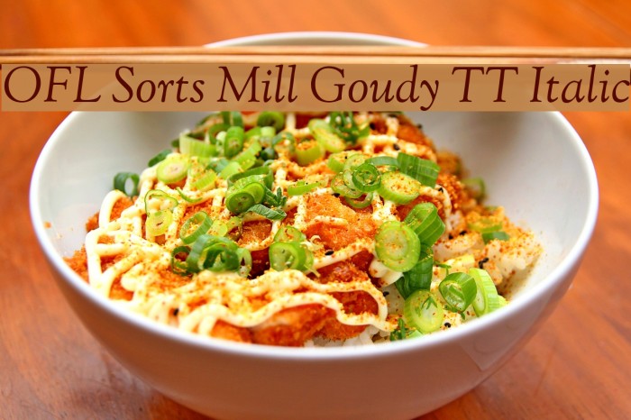 OFL Sorts Mill Goudy TT Italic Font examples