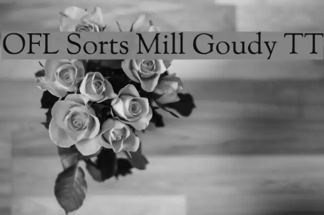 OFL Sorts Mill Goudy TT Font examples