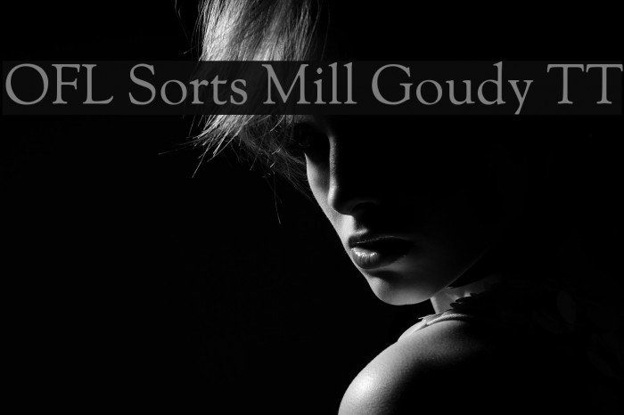 OFL Sorts Mill Goudy TT Font examples