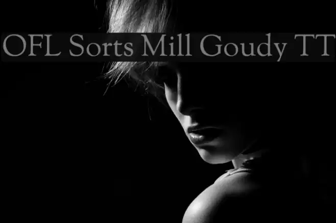 OFL Sorts Mill Goudy TT Font examples