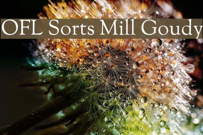OFL Sorts Mill Goudy Font examples