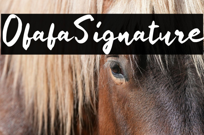 Ofafa Signature Example 1
