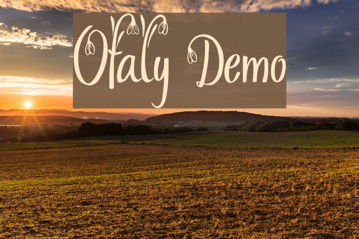 Ofaly Demo Example 3