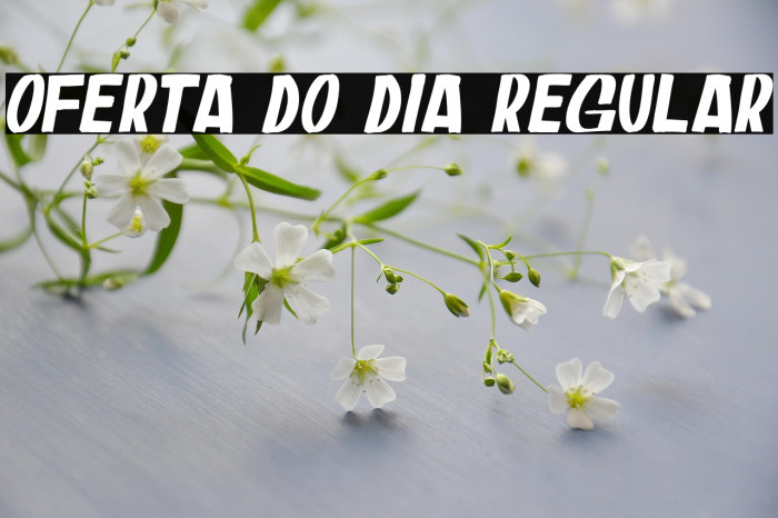 Oferta do Dia Regular Example 2