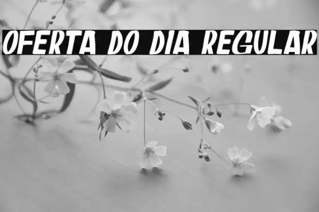 Oferta do Dia Regular Font examples