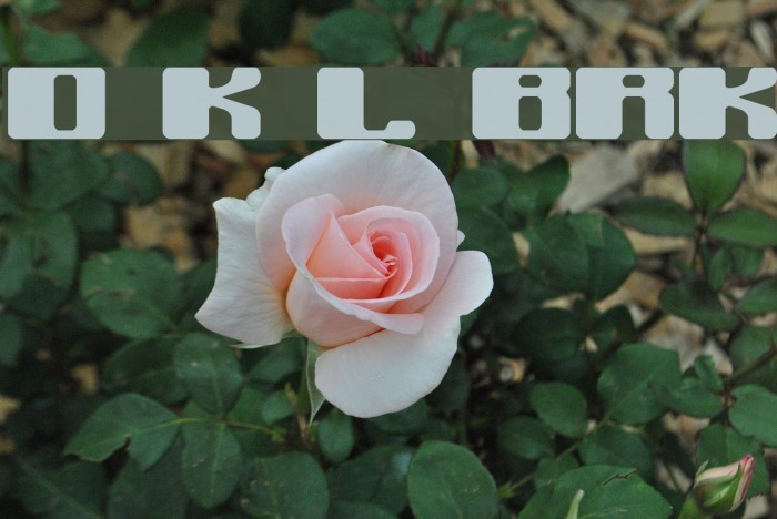 Off Kilter L BRK Font examples