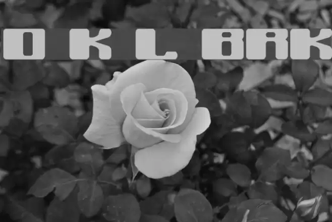 Off Kilter L BRK Polices examples