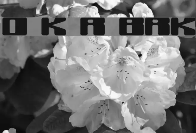 Off Kilter R BRK Font examples